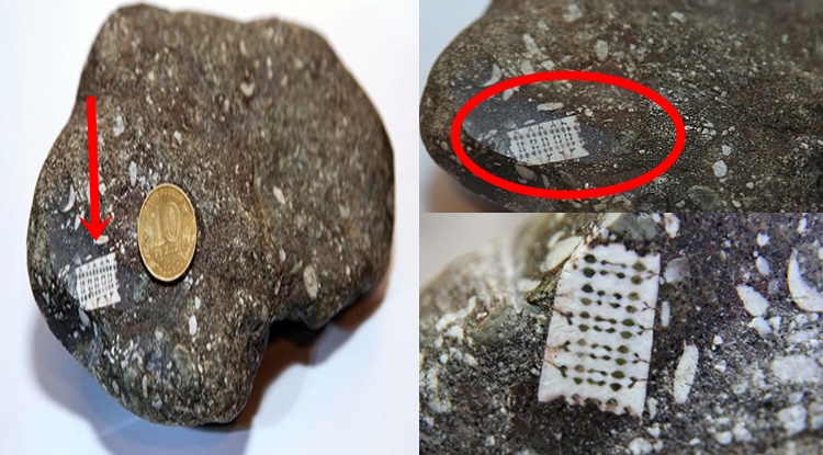 Russia: Ancient Microchip” that Dates Back 250 Million Years.