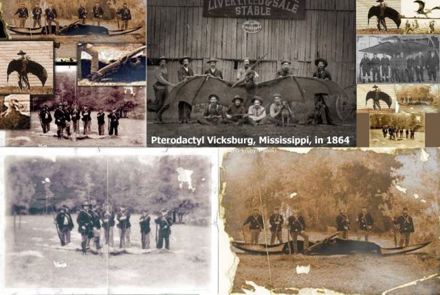 Pterodactyl Vicksburg, Mississippi, in 1864