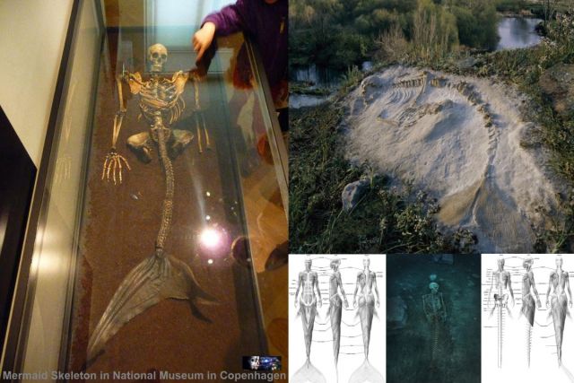 Videos: Amazing archaeological discoveries! “mermaid skeleton”
