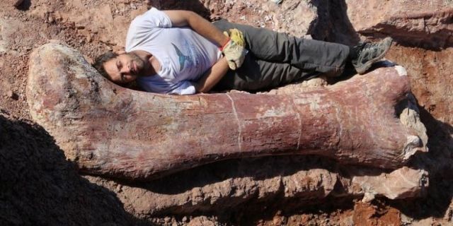 ‘Huge Skeleton’ Discovered in Bulgaria’s Varna