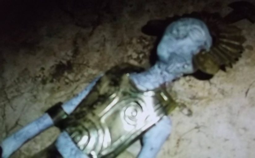 About of the mummified bodies of aliens found in a cave on the Nazca Plateau.