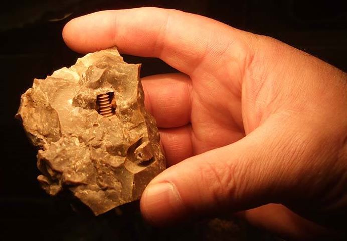 How is even possible that on the Earth were discovered 280 million years old screws?