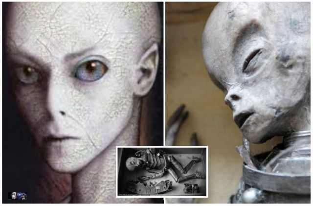 Alien: Remains Found in a Strange Box in 1945 (Videos)