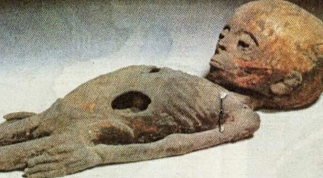 Video Mummy Extraterrestrial Found In The Egyptian Tomb