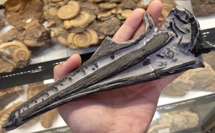 Photos: What is it? Fosilia is 220 million years old. Model of a Alien ship?
