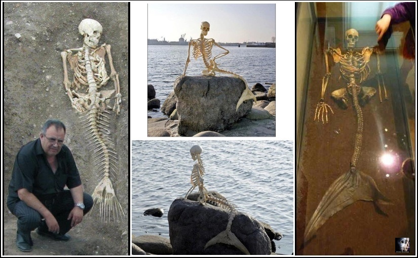 Are Fairy ,Mermaids, Dragons, , Mysterious Creatures Real? Mermaids Part2.
