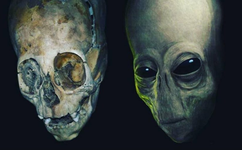 Videos: Alien Skull and Alien Skeleton discovered!!! The DNA proof this Extraterrestrial Skull is real.